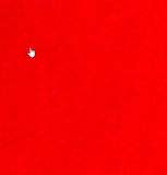 SISER- Bright Red StripFlock Pro HTV