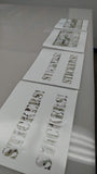 Inkjet Adhesive Vinyl and Laminate